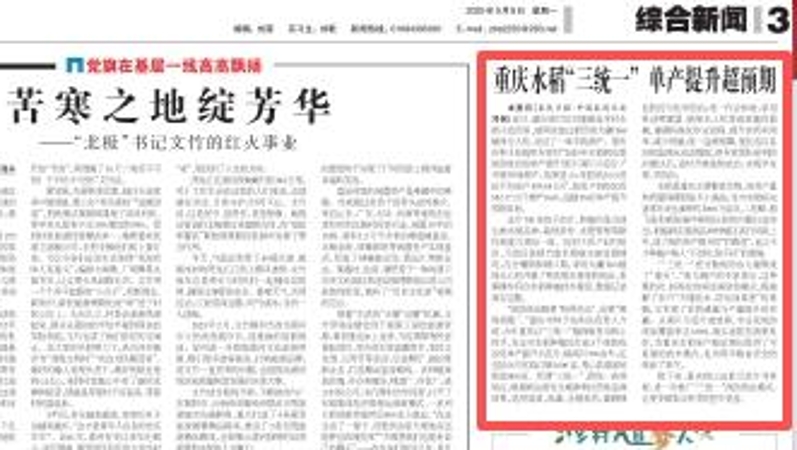 农民日报看重庆｜重庆水稻“三统一”　单产提升超预期