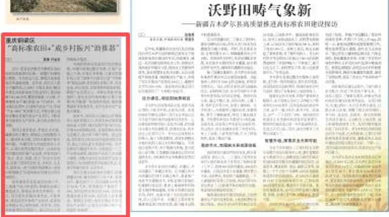 农民日报看重庆｜铜梁：“高标准农田+”成乡村振兴“助推器”