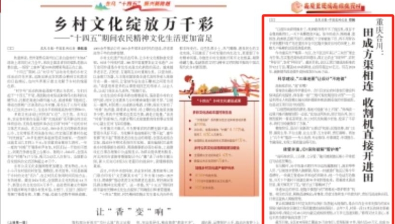 农民日报看重庆｜合川：田成方渠相连　收割机直接开进田