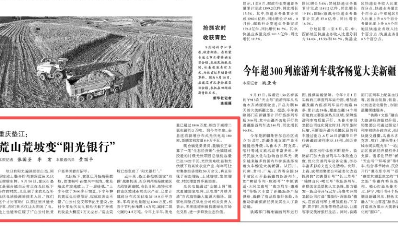 光明日报看重庆｜荒山荒坡变“阳光银行”