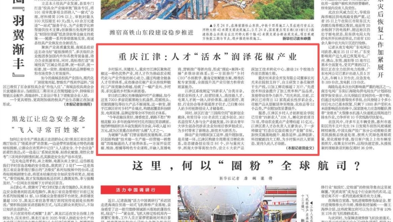 新华每日电讯看重庆｜江津：人才“活水”润泽花椒产业