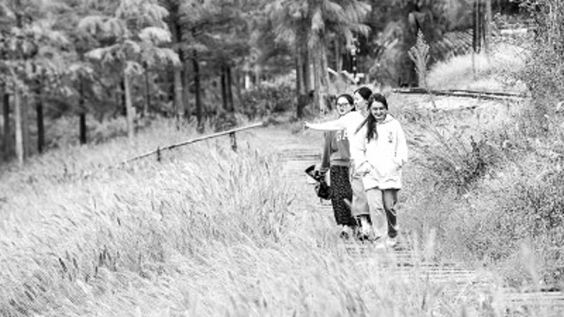 光明日报看重庆｜石柱：农文旅融合助力乡村振兴