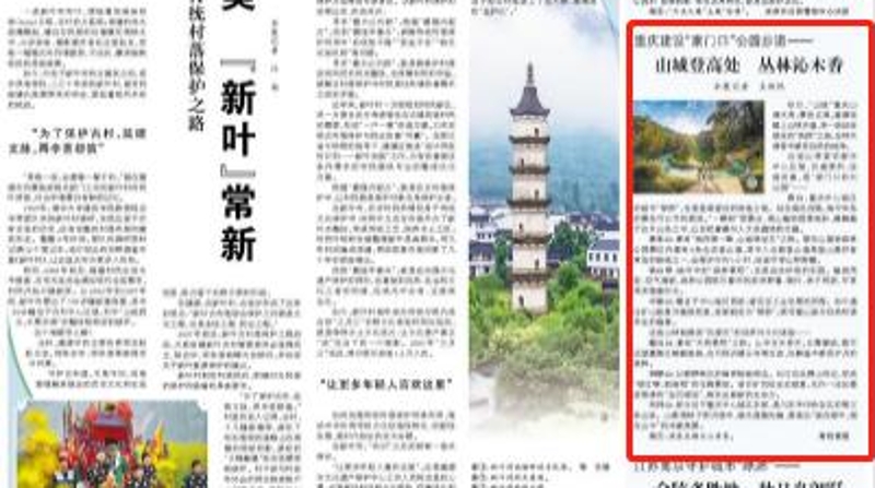 人民日报看重庆｜重庆建设“家门口”公园步道——山城登高处　丛林沁木香