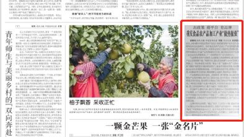 农民日报看重庆｜重庆食品农产品加工产业“做热做强”