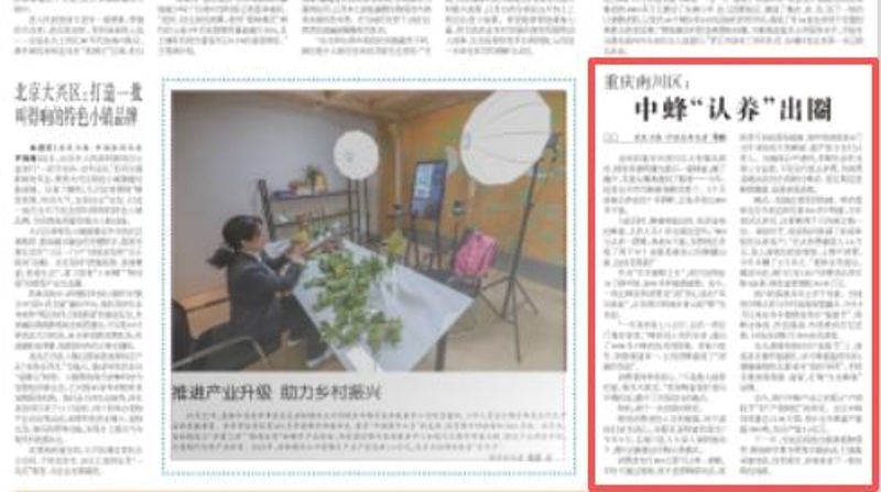 农民日报看重庆｜南川区：中蜂“认养”出圈