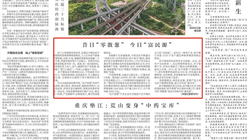 新华每日电讯看重庆｜昔日“零散葱” 今日“富民源”