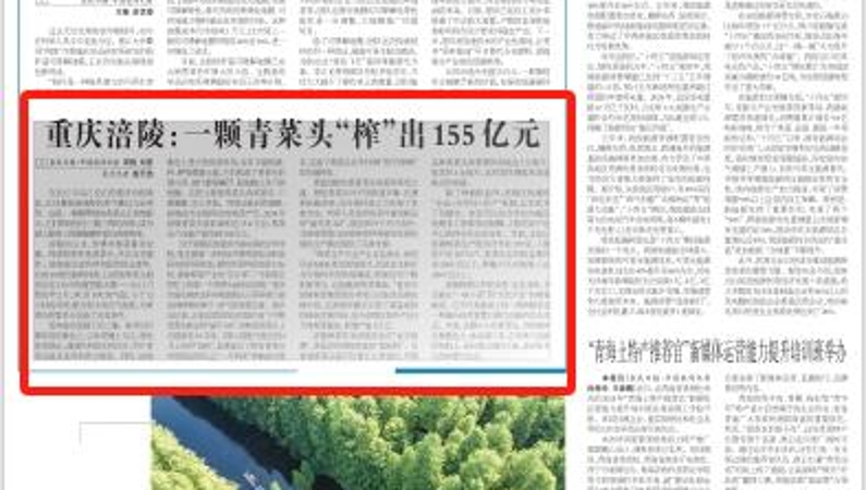 农民日报看重庆｜涪陵：一颗青菜头“榨”出155亿元