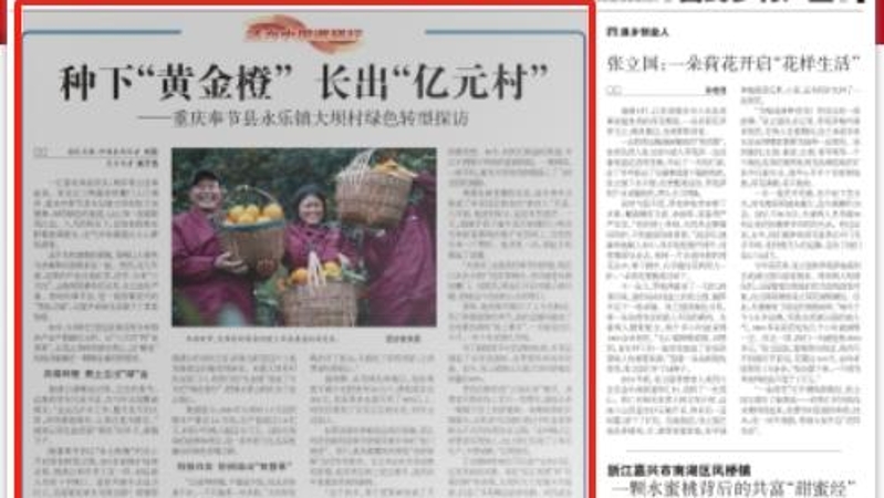 农民日报看重庆｜奉节县永乐镇大坝村：种下“黄金橙”　长出“亿元村”