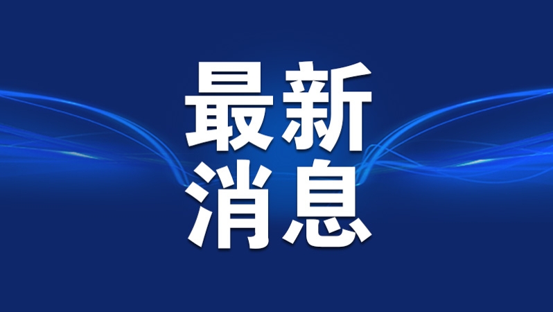 湖北十堰通报“最忙五人组”问题