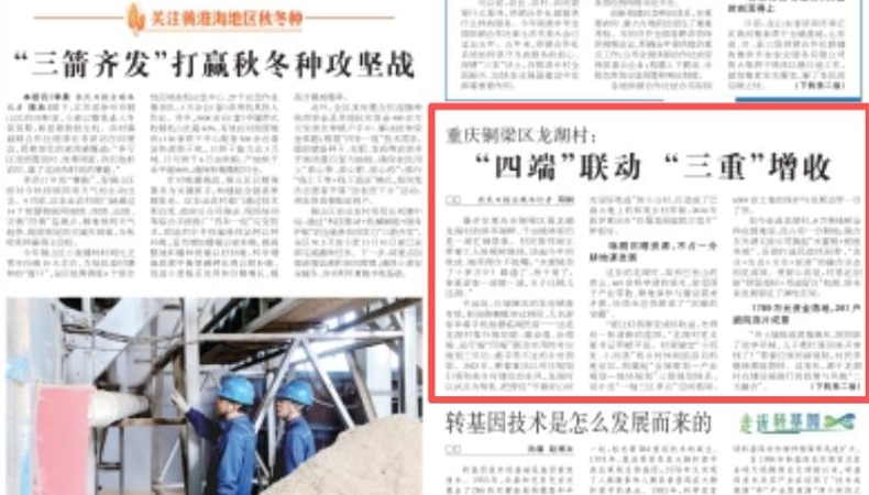 农民日报看重庆｜重庆铜梁区龙湖村：“四端”联动 “三重”增收