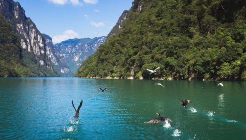 人民网看重庆｜武隆区创新“3233”模式 释放富民兴区的生态红利