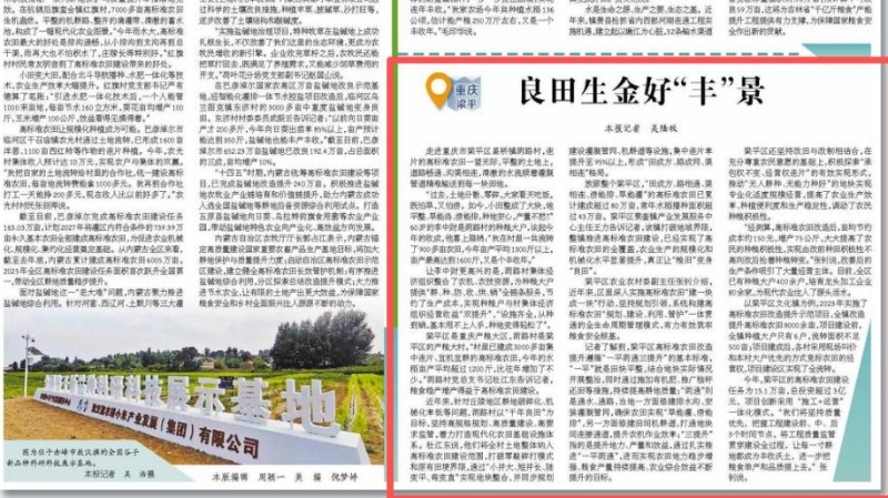 经济日报看重庆｜梁平：良田生金好“丰”景