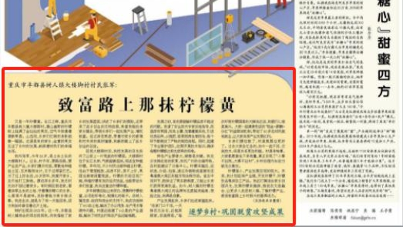 经济日报看重庆｜致富路上那抹柠檬黄