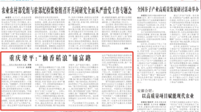 农民日报看重庆｜梁平：“柚香稻浪”铺富路