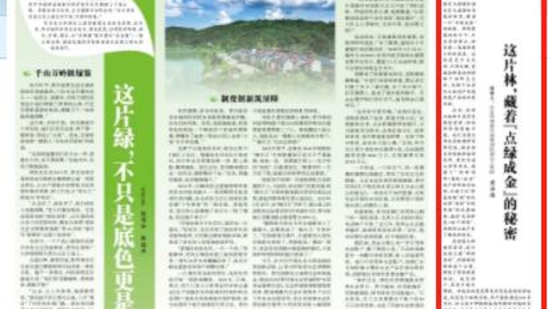 光明日报看重庆｜这片林，藏着“点绿成金”的秘密
