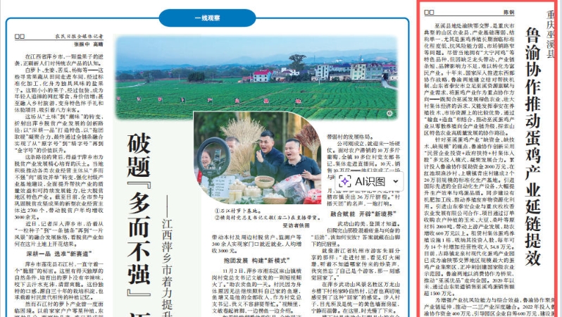 农民日报看重庆｜鲁渝协作推动蛋鸡产业延链提效