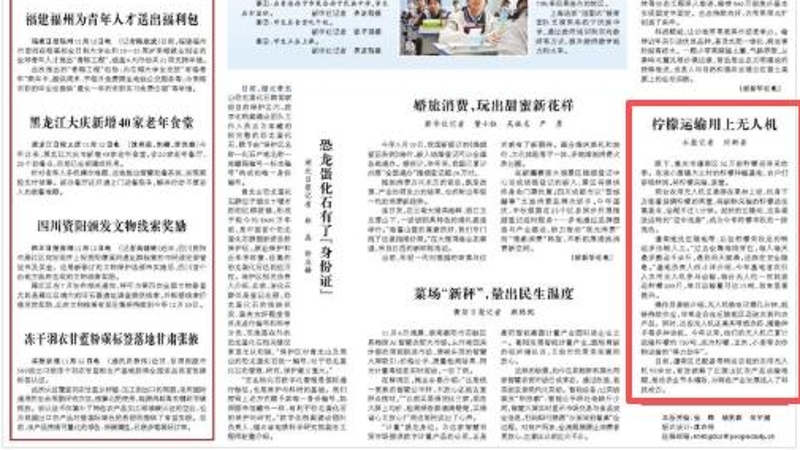 人民日报看重庆｜潼南：柠檬运输用上无人机