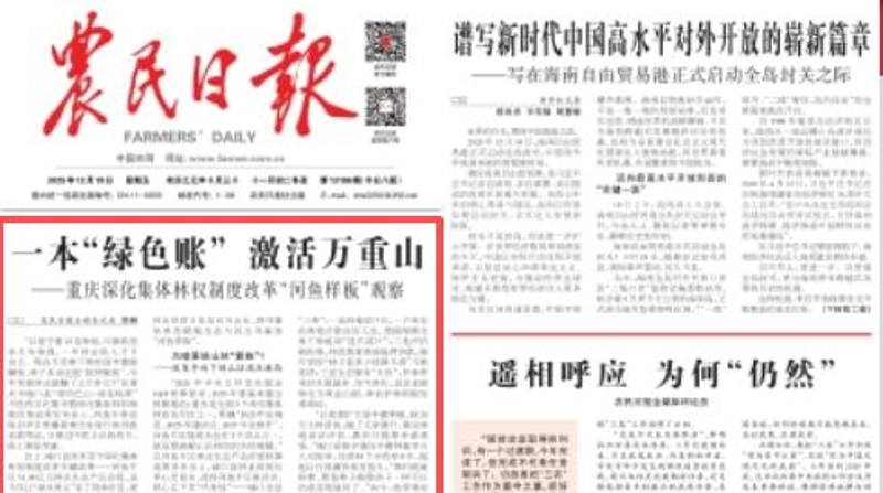 农民日报看重庆｜一本“绿色账” 激活万重山