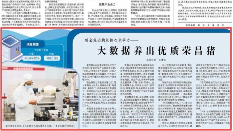 经济日报看重庆｜大数据养出优质荣昌猪