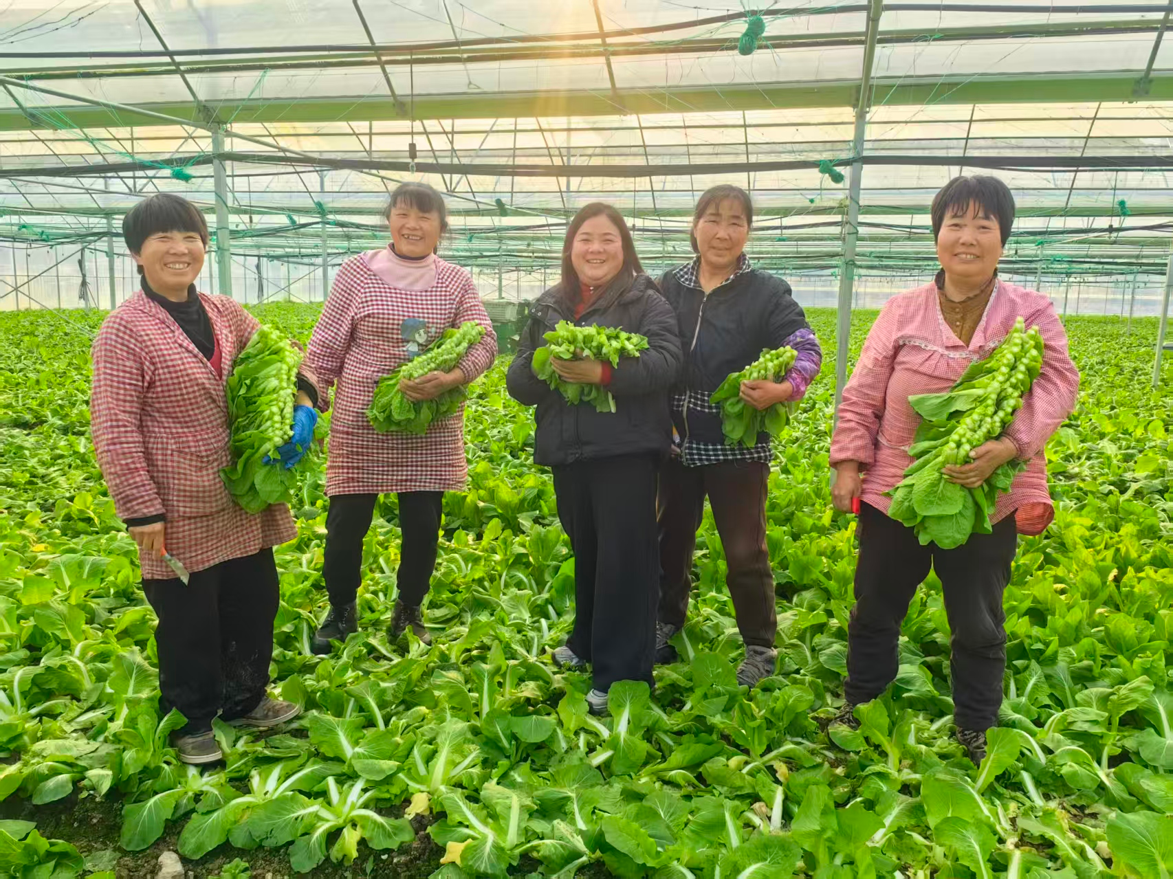 b6d4ff519a0c5eb0501beac05fc6536e