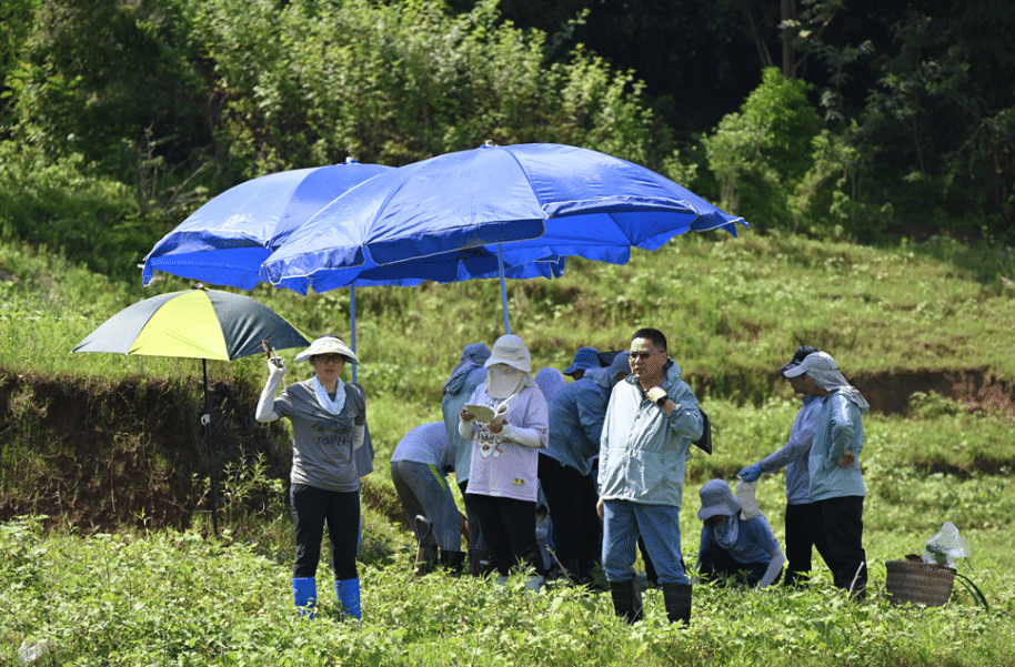 吴胜军（前排右一）带领团队在忠县消落区采样。受访者供图