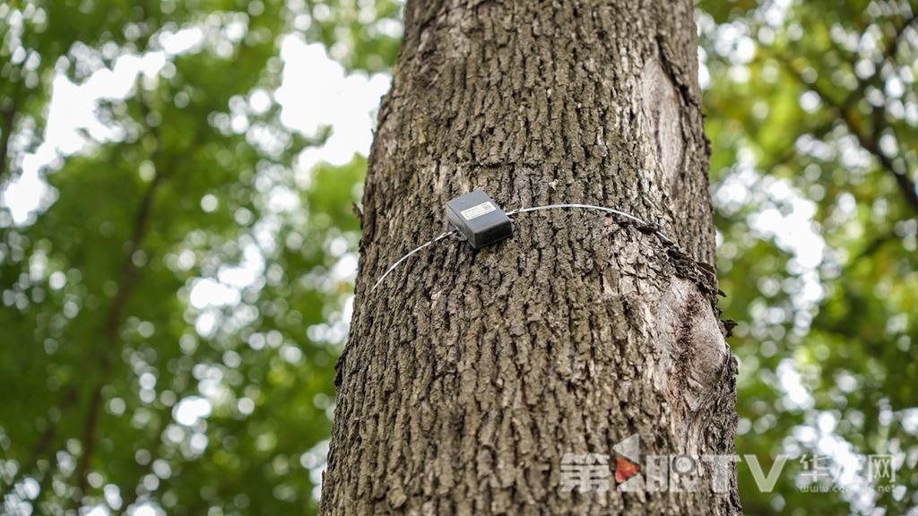 83b81c48b77340f9a10e19cdf9aa71a3_wh1024x576