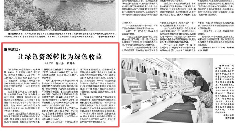 重庆城口：让绿色资源转化为绿色收益
