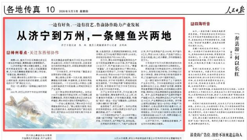 从济宁到万州，一条鲤鱼兴两地